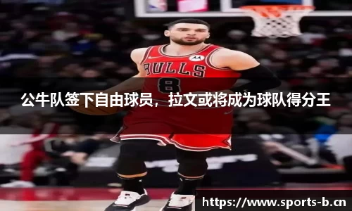 b体育平台