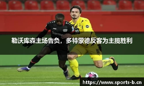 b体育官方网站