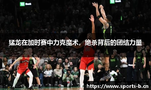 b体育